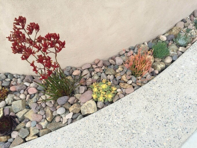 Xeriscaping: The Art and Science of Low Water Gardens