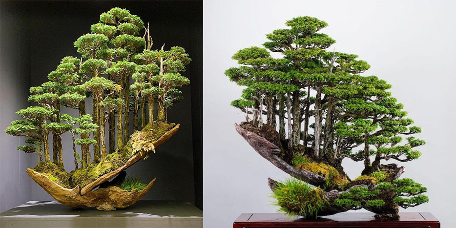 Bonsai Master Masahiko Kimura Takes The Craft To A Whole New Level By Creating Gravity-Defying Mini Forests