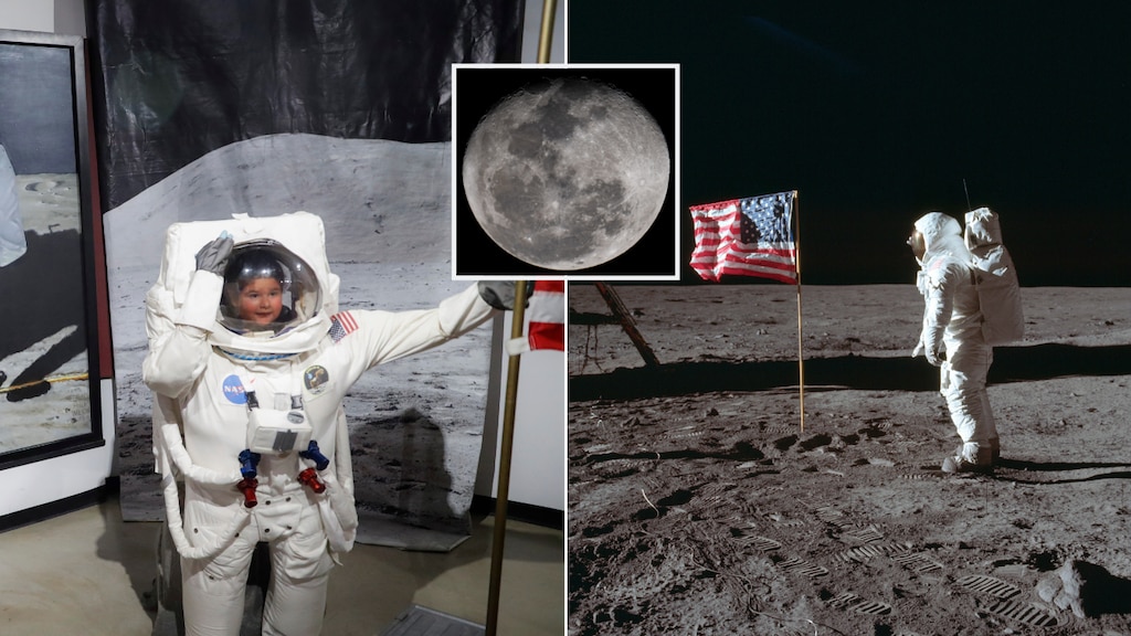 Moon landing anniversary: World stops to celebrate 50 years since Apollo 11