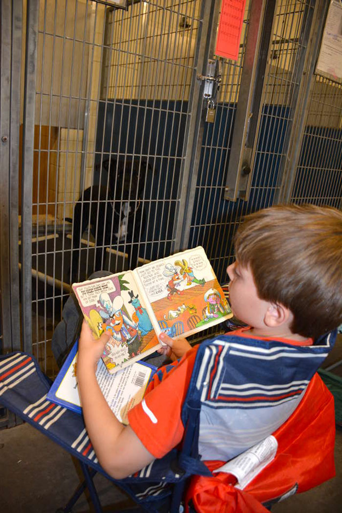 People Are Skipping 4th Of July Fireworks To Comfort Scared Shelter Dogs