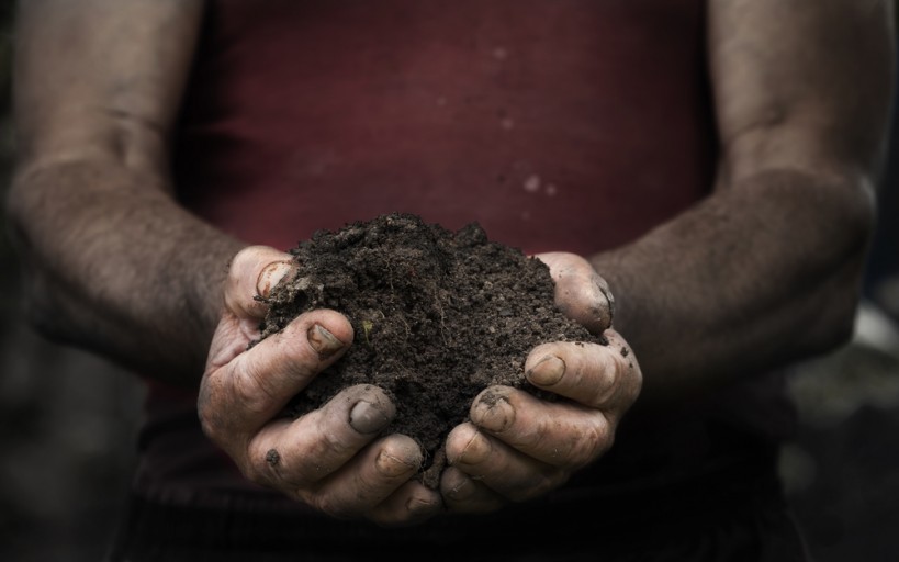Researchers Find That Gardening Soil Is A Natural Antidepressant | Spirit Science